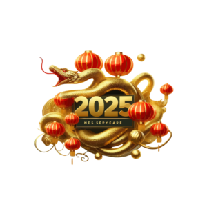 hinh in chủ để tết 2025